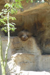 20080630_3908r