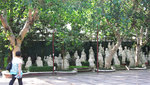 20091030_0327c