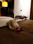 20090508_0309hx