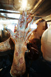 20100812_0791n