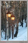 DSCF0456_1