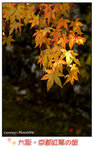 20061114(07)
