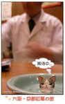 20061115(05b)