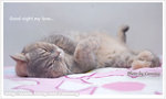 20040405Good night my love