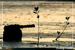 dscf2394b copy