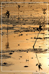 dscf2422b copy