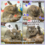 20060212�ߥJ����O