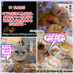 20061124�ߥJ����O