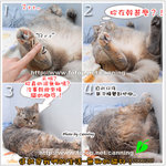 20061201�L�᪺�ߥ�