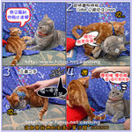 20061209 ���F�o