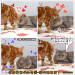 ���o�ڭ̦b���20070304 �ߥJ����O_copy