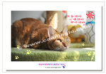CF200811096269P