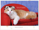 CAT_5354f