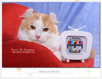 CAT_5384F