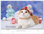 CAT_5488F