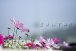 _ACE1707