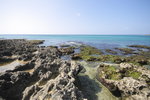 IMG_20071112_157