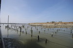 IMG_20071115_268