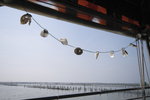 IMG_20071115_271