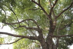 IMG_20071115_290