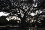 IMG_20071115_292
