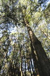 IMG_20071117_328