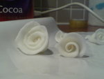 Sugar flower 