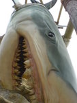 Pleasure Beach Great Shark