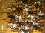 DSCN1358