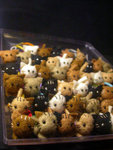 DSCN1359