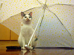 DSCN0284