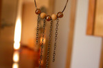 DSCN4556