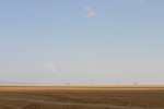 Amboseli_14