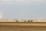 Amboseli_15