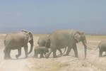 Amboseli_23