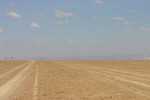 Amboseli_5