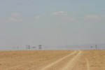 Amboseli_8