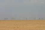 Amboseli_9