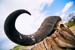 Kenya_10
