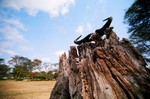 Kenya_11