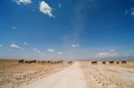 Kenya_12
