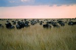 Kenya_20
