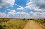 Kenya_22