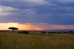 Kenya_27