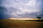Kenya_29