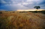 Kenya_30