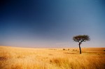 Kenya_4