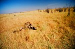 Kenya_5