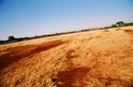 Kenya_6