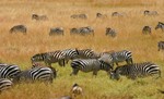 Masai_16